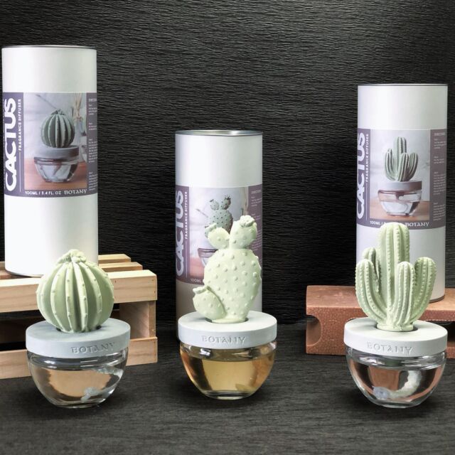 🆕NEWアイテム入荷しました🆕

ダルトンの
【CACTUS FRAGRANCE DIFFUSER】

香りは
🌵ELEGANT PEONY
🌵OCEAN BREEZE
🌵WHITE FLOWER
の3種類です❁⃘*.ﾟ

インテリアとしてもめちゃくちゃかわいいです🫶

数に限りがあるので気になる方お早めに🙌

#ダルトン
#DULTON
#DIFFUSER
#FRAGRANCE
#CACTUS
#サボテン
#インテリア
#新入荷
#NEWアイテム
#数量限定
#福島市
#郡山市
#山形
#米沢市
#宮城
#仙台
#花屋
#福島市花屋
#お花屋さん
#おがた生花店