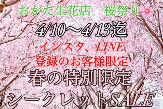 🆕春の特別限定SALE開催いたします🌸🆕

今回のイベントはインスタ、LINE、threads登録者限定イベント✨
お会計の時、もしくはお話の途中にでもインスタ、LINE.threads登録してるとお伝えしたいただけたお客様には

特別に店内商品全品10%OFFに致します‼️

今回のこのイベントはシークレットイベントになりますので、店内にはPOPなどは出してはいません✋
必ず、登録してますとスタッフにお伝えください‼️‼️

SALE除外品もありますので、詳しくはスタッフにお聞き下さい✨

もちろん当日登録者も割引対象になりますので、是非是非お友達、家族、カップルでご来店下さいませ😊

#福島市
#郡山市
#山形
#花屋
#シークレットセール 
#スーパーsale 
#agave
#agaveplant 
#agavelovers 
#titanota
#アガベ 
#アガベがある暮らし 
#コーデックス
#ビザールプランツ 
#ビカクシダ 
#観葉植物
#塊根植物
#塊根植物のある暮らし 
#福島市アガベ販売店
#福島市アガベ
#福島市塊根植物販売店
#福島市ビカクシダ販売店