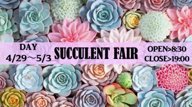 4/29～5/3の5日間は

《❣️多肉weeeek❣️》

期間中は多肉植物10個以上お買い上げで
￥220の多肉の中からお好きな多肉1個プレゼント🤲
20個以上で2個、30個以上で3個プレゼントします- ̀͏̗🎁 ́͏̖-

期間中はまとめ買いがかなりお得です‼️

たくさんのご来店お待ちしております☺️

※お買い上げの際の容器は準備しておりません💦
 容器はお客様持参でお願いします🙇‍♀️

#多肉
#多肉植物
#タニラー
#エケベリア
#多肉ガーデン 
#福島市
#郡山市
#山形
#米沢
#宮城県
#仙台
#福島市花屋
#お花屋さん
#おがた生花店