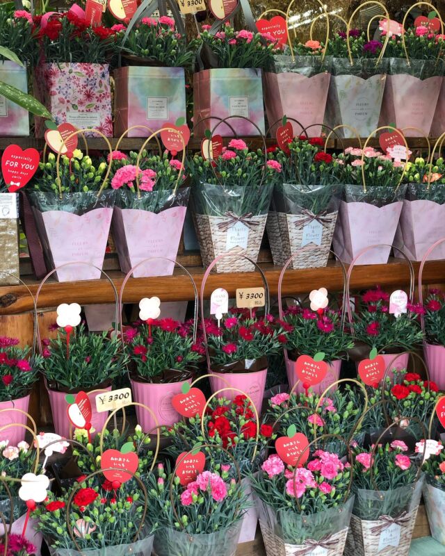 ♥️HAPPY MOTHER,S DAY♥️

母の日商品たくさん出てます🎁

日頃の感謝を込めてお花のプレゼントいかがですか？

数量限定のオリジナル商品もあります🫶

皆さんのご来店お待ちしております☺️

#母の日
#motherday 
#カーネーション
#アジサイ
#ペラゴニウム
#ベコニア
#ラベンダー
#アレンジメント
#花束
#母の日ギフト
#福島市
#福島市花屋
#お花屋さん
#おがた生花店