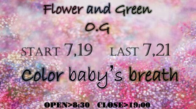7月19日~7月21日の3日間
カラフルなカスミ草が並ぶ【color baby’s breath fair】

普段カラーカスミ草はなかなか店頭には並ばないのですが
この3日間は色とりどりのカスミ草が並びます𖤣𖥧𖡼.𖤣𖥧

カスミ草の花言葉は「幸福」「感謝」「親切」「清らかな心」「無邪気」‎⚘⡱

プレゼントにも大人気のカスミ草🎁

カラフルなカスミ草が並ぶのはこの3日間だけ！

ドライにもなりますのでずーっとカスミ草を楽しめますꕤ︎︎·͜·

レジンの材料にも·͜·👌 ̖́-‬

7月の3連休ご来店お待ちしております‪ෆ‪.*･ﾟ

#カスミ草
#カスミソウ
#かすみ草
#カラーカスミ草
#染めカスミ草
#babybreath
#福島市
#郡山市
#山形
#米沢市
#宮城
#仙台
#福島市花屋
#お花屋さん
#おがた生花店